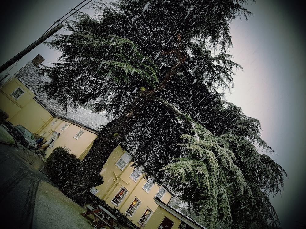 The Cedars Hotel Stowmarket Extérieur photo